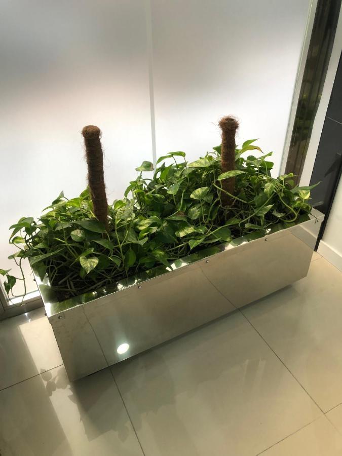 La Victoria Home 말라가 외부 사진